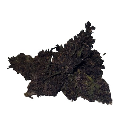 Purple Haze 40% 10-OH-HHC