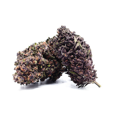 Royal Purple Haze 40% CBD Premium