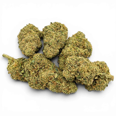 Mimosa Lemon CBD Premium