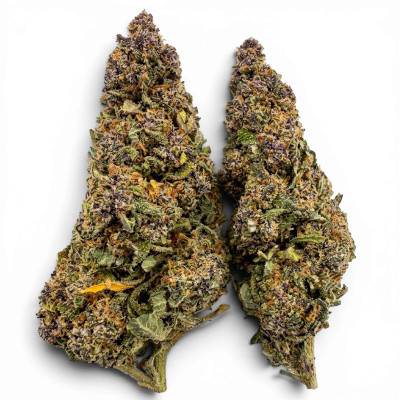 Purple Punch 40% NL-3 Premium