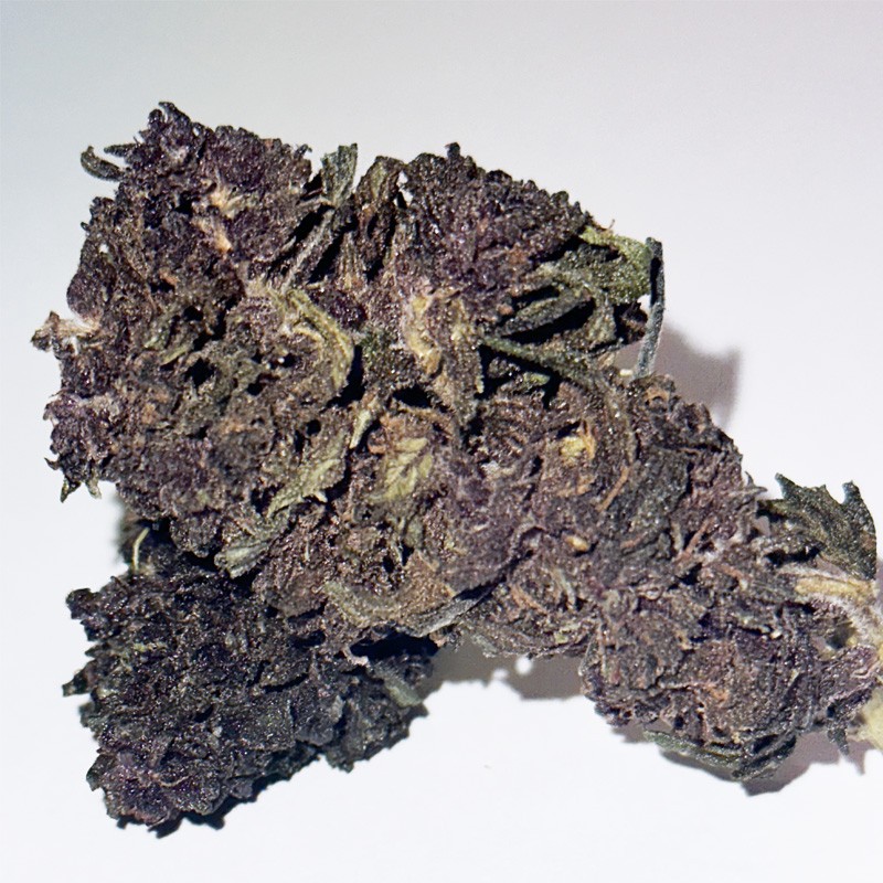 Purple Haze HHCP - Fleur HHCP Puissante