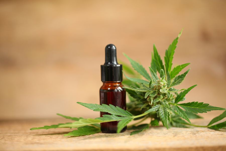 CBD Discounter: CBD pas cher - Livraison rapide et gratuite