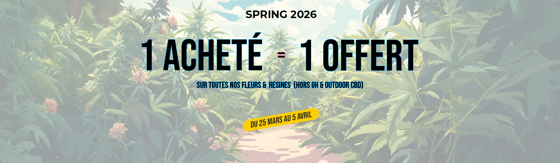 Visuel de CBD pas cher avec flacons d'huiles et fleur de CBD - CBD Discounter