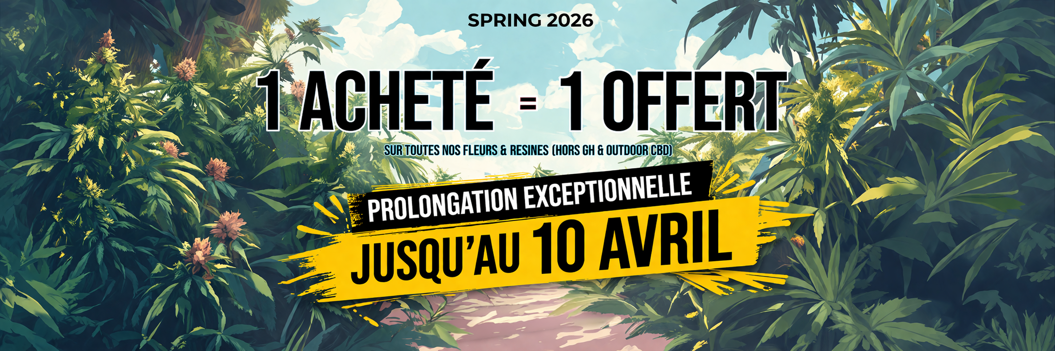 Visuel de CBD pas cher avec flacons d'huiles et fleur de CBD - CBD Discounter