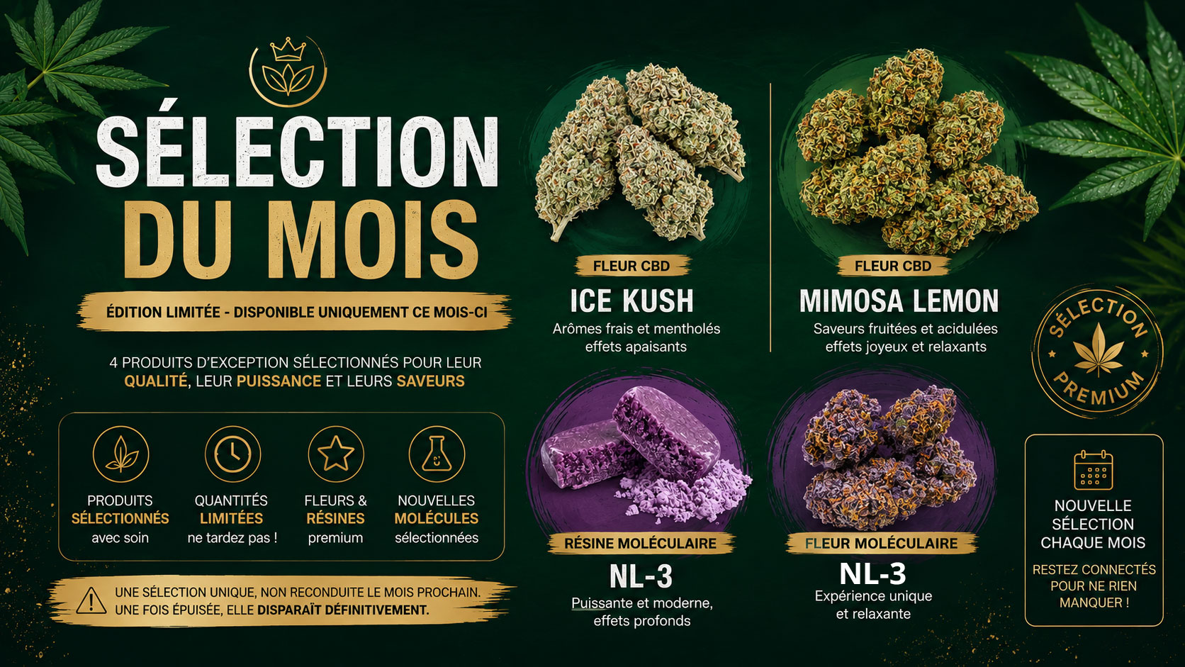 Visuel de CBD pas cher avec flacons d'huiles et fleur de CBD - CBD Discounter
